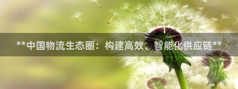 28圈注册链接：**中国物流生态圈：