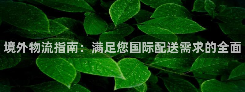 28圈.ccm官网
