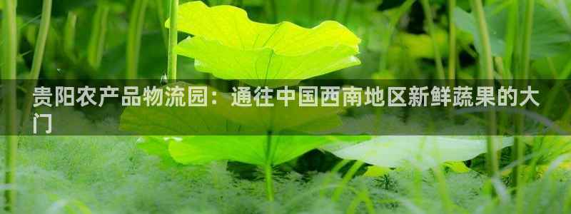 28圈新用户怎么注册：贵阳农产品物流
