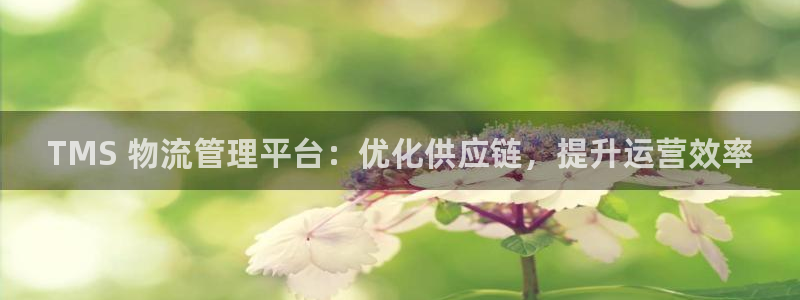 28圈模拟：TMS 物流管理平台：优