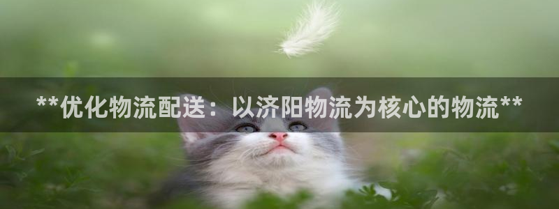 28圈连输10天