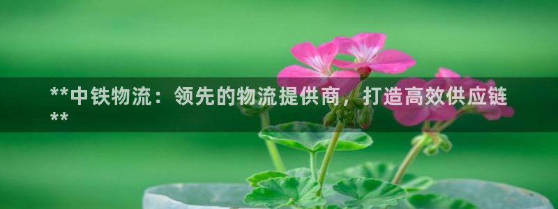 28圈链接：**中铁物流：领先的物流