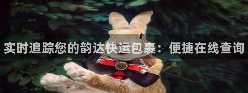 28圈提现不到账：实时追踪您的韵达快