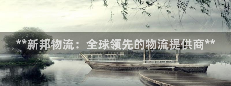 28圈p扣款什么意思