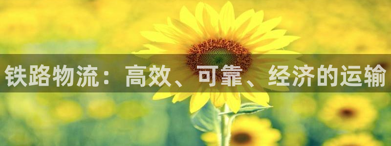 28圈充值不处理会怎么样