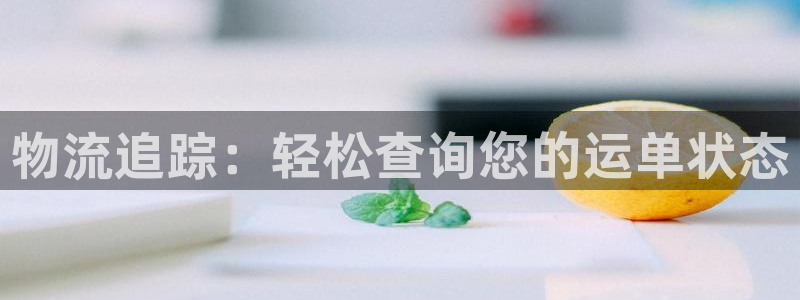 28圈免费：物流追踪：轻松查询您的运