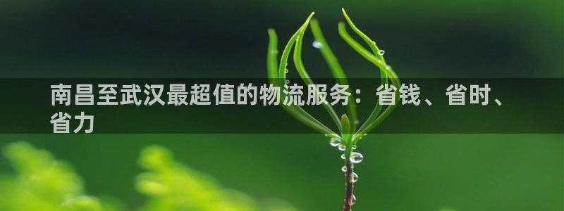 28圈大神预测：南昌至武汉最超值的物