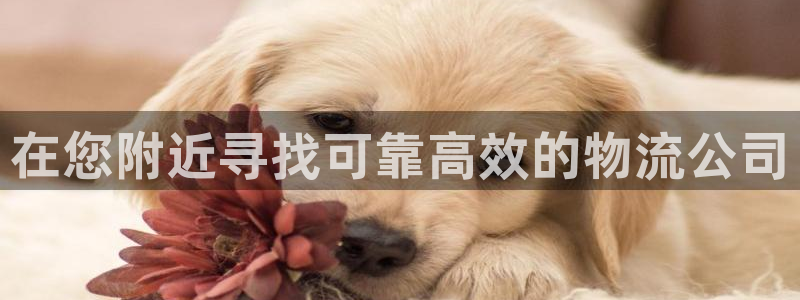 28圈麻将胡了：在您附近寻找可靠高效