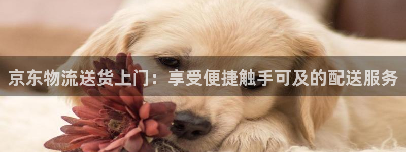28圈提现不到账