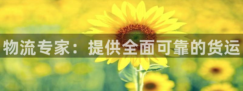 28圈选28ng官网：物流专家：提供