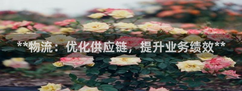 28圈链接来一个：**物流：优化供应
