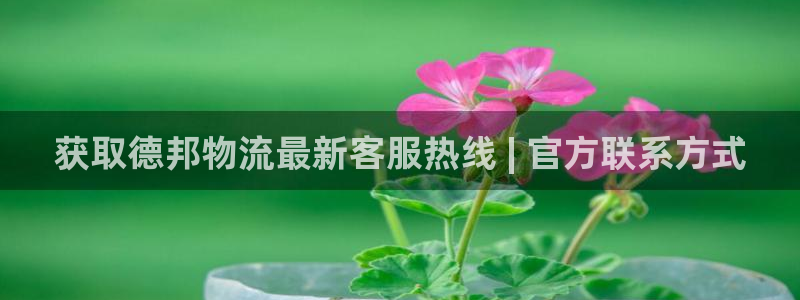 28圈如何看计划：获取德邦物流最新客