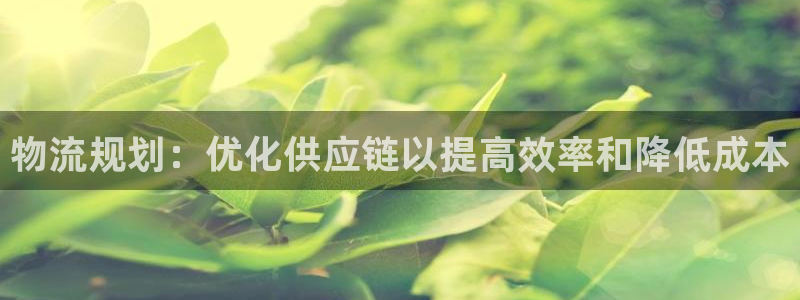 28圈如何退款：物流规划：优化供应链