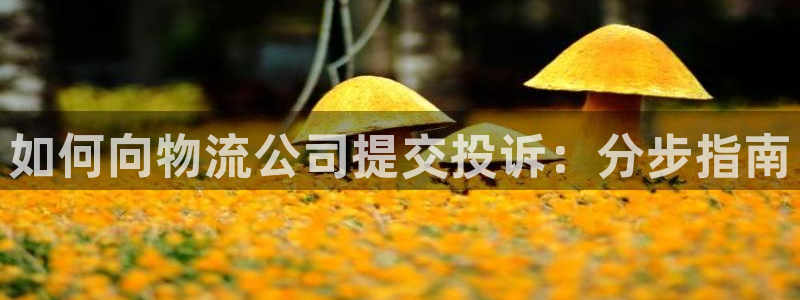 28圈黑款：如何向物流公司提交投诉：
