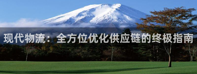 28圈注册官网：现代物流：全方位优化