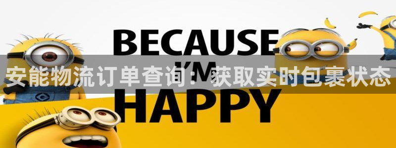28圈链官网：安能物流订单查询：获取