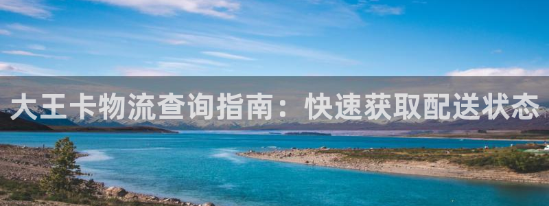28圈合法吗：大王卡物流查询指南：快