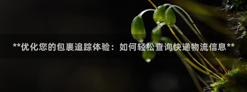 28圈电子游戏：**优化您的包裹追踪