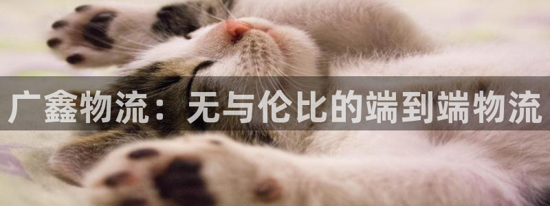28圈注册过了警察知道吗：广鑫物流：