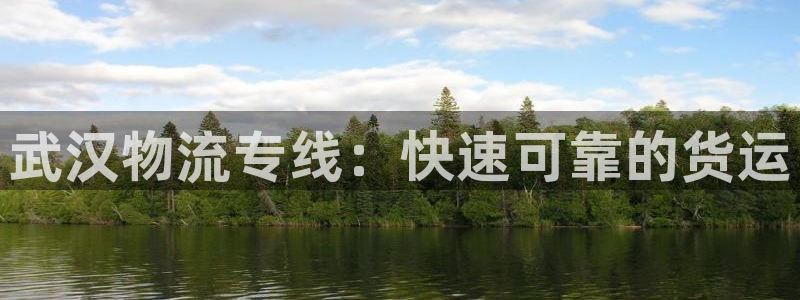 28圈ccm官网版：武汉物流专线：快