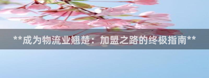28圈app官网少林足球：**成为物流业翘楚：加盟之路的终极