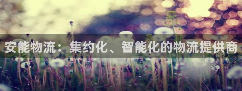 28圈充值金额随便