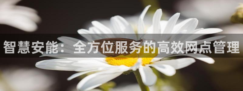 28圈玩法