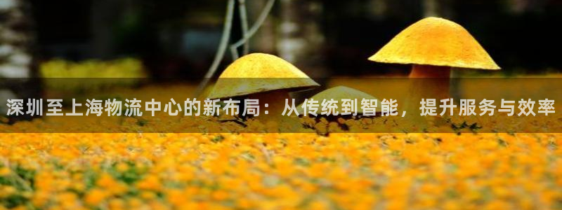 28圈免费充钱