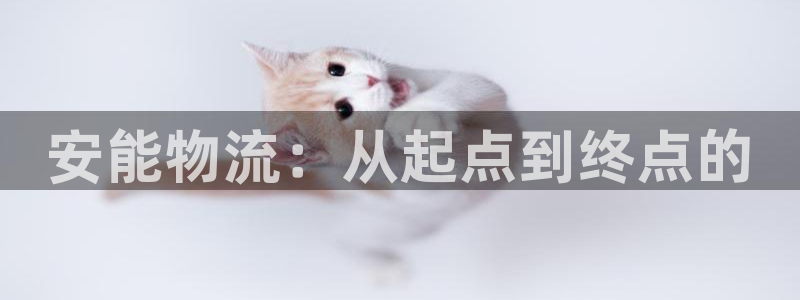 28圈返水怎么算的
