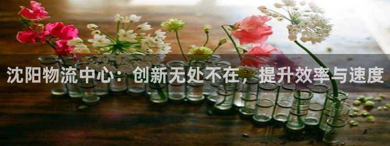 28圈麻将