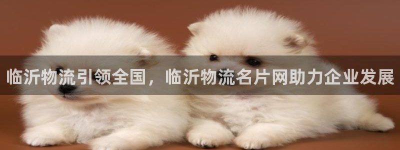 28圈注册网站多少钱：临沂物流引领全