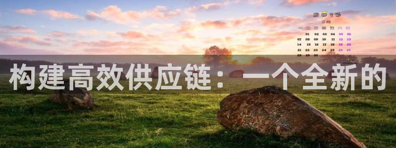 28圈p扣除是什么意思：构建高效供应