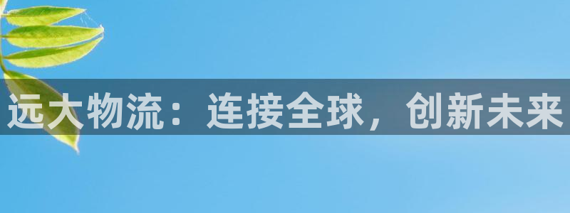 28圈软件：远大物流：连接全球，创新未来