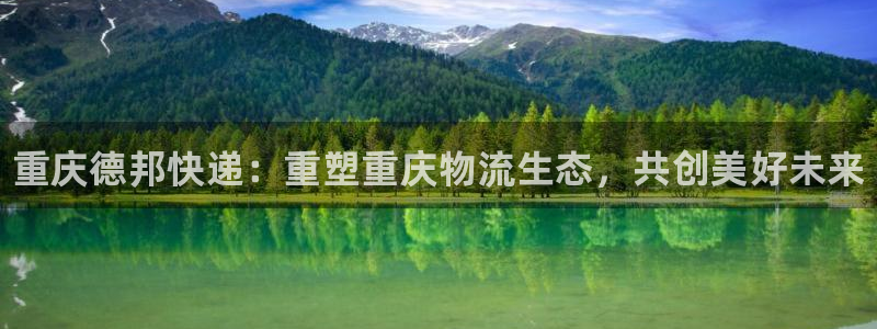 28圈免费充钱：重庆德邦快递：重塑重