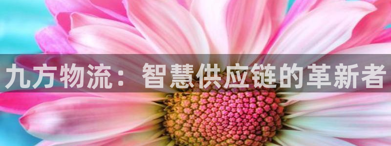 28圈p扣除：九方物流：智慧供应链的