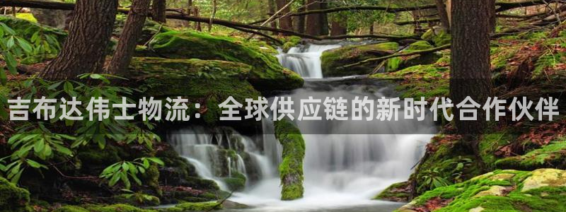 28圈忘记账号：吉布达伟士物流：全球