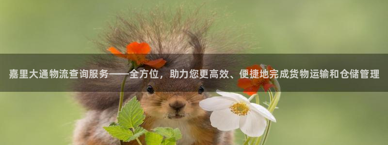 28圈注册网站APP：嘉里大通物流查