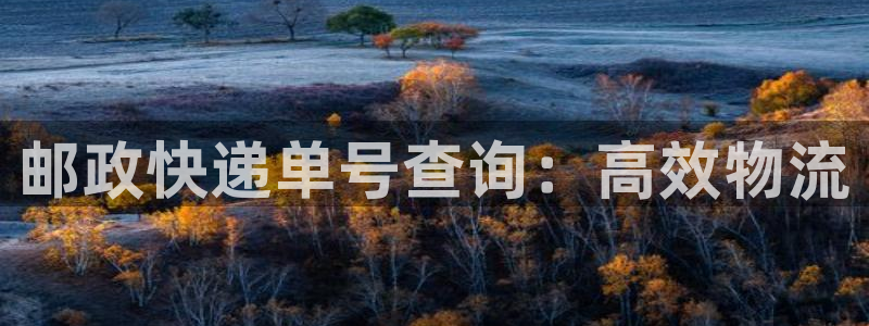 28圈分分压单双技巧：邮政快递单号查