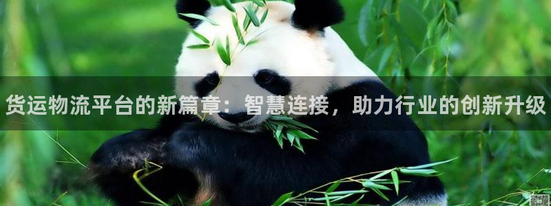 28圈加拿大真假怎么看：货运物流平台的新篇章：智慧连接，助力