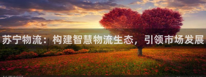 28圈模拟器下载