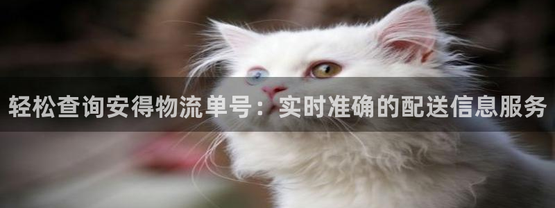 28圈怎么下载教程