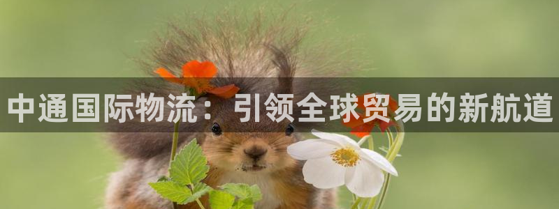 28圈的自行车：中通国际物流：引领全