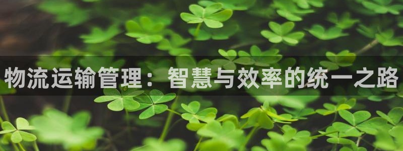 28圈代理落网：物流运输管理：智慧与
