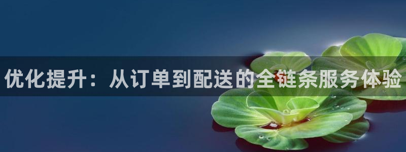 28圈注册网页版