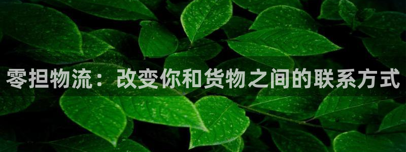 28圈官网版2024：零担物流：改变