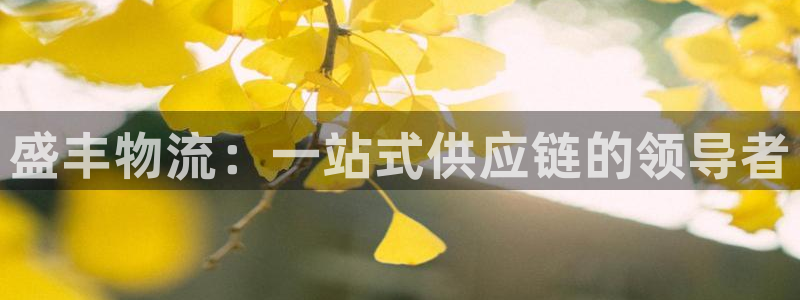 28圈如何看012路计划：盛丰物流：