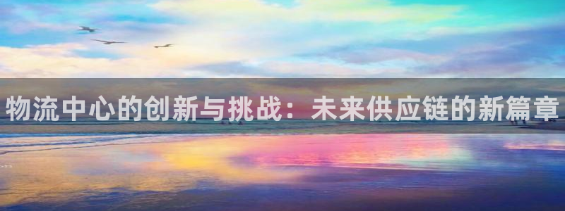 28圈登录：物流中心的创新与挑战：未