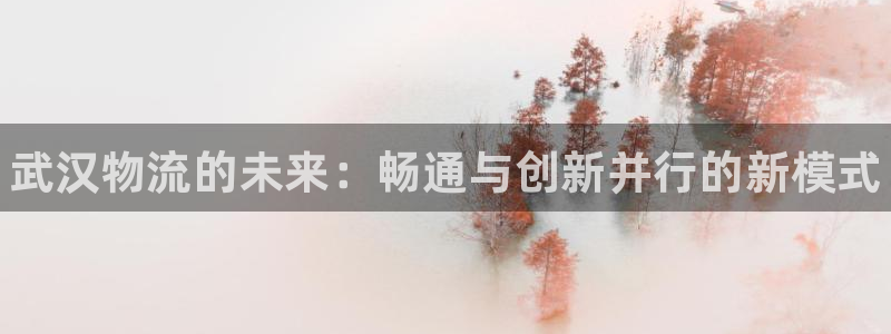 28圈软件有什么用：武汉物流的未来：