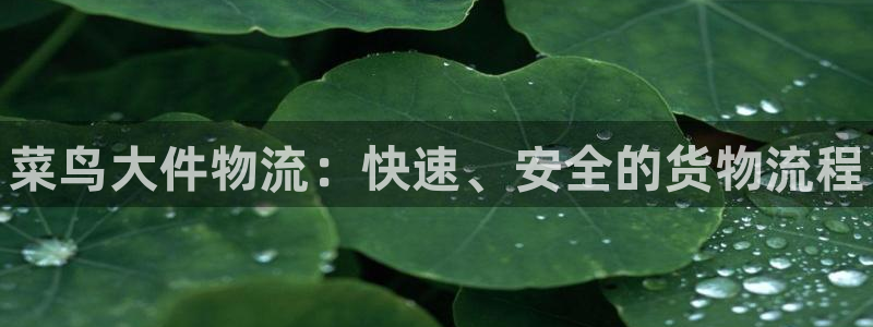 28圈.ccm正版：菜鸟大件物流：快