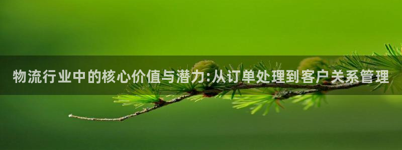 28圈注册网站多少钱一个：物流行业中